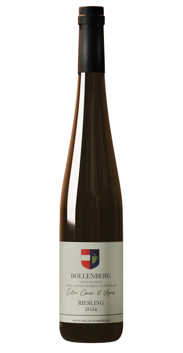 Riesling Bollenberg Entre Cœur et Vignes bio 2024
